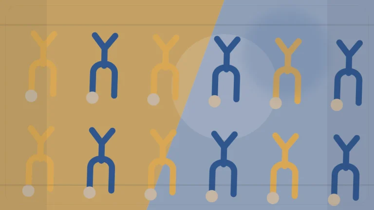 고장유형영향분석 학습 개념을 표현한 항체형 결합 구조가 이어진 네트워크, 구성 변형 1