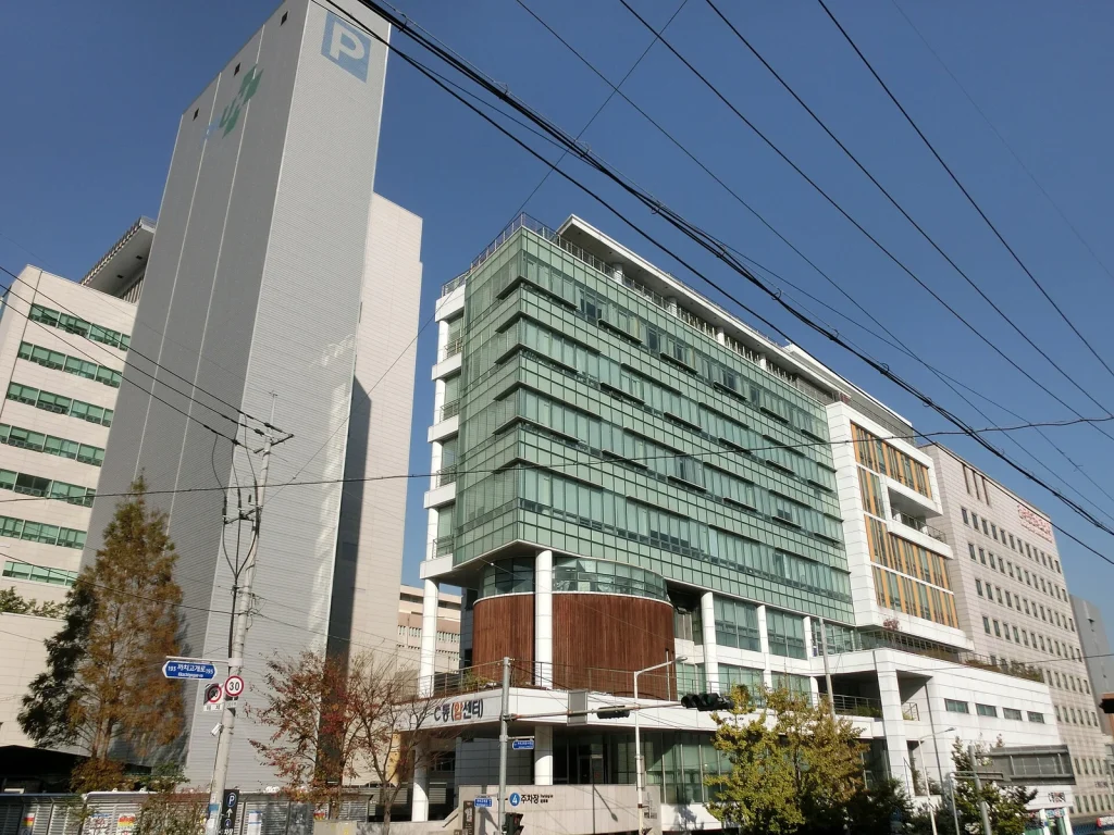전선과 가로수 너머로 올려다본 부산대학교병원 건물